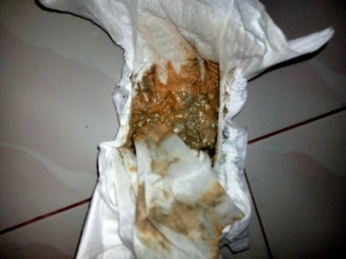 pup bayi berwarna hijau