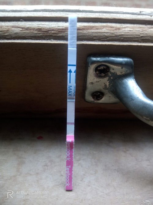 bingung sama hasil tespek