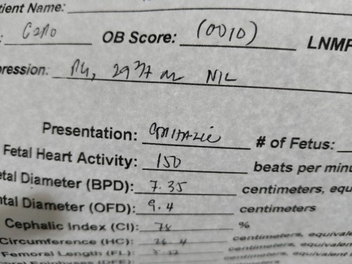 FETAL BIOMETRY