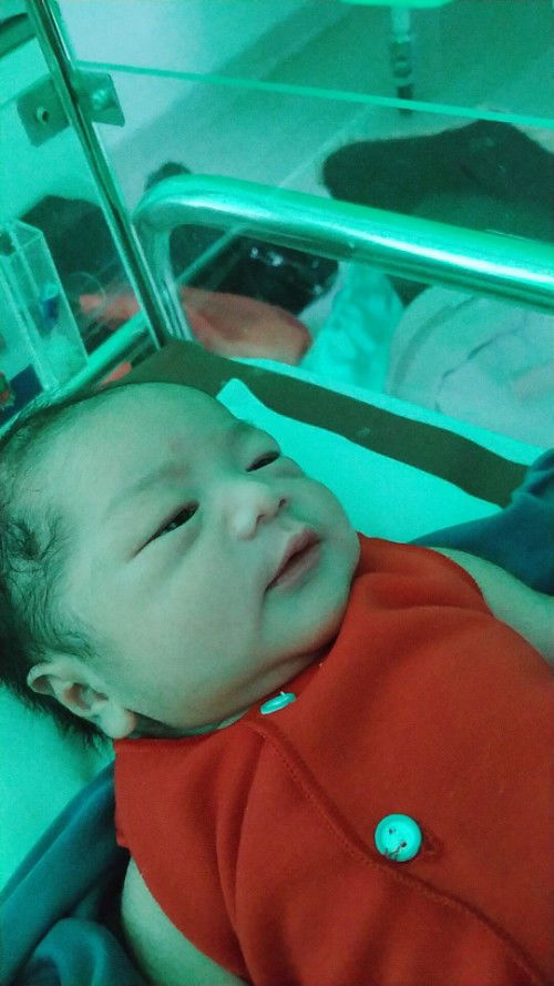 HPL 28 Februari launching 26 Februari 🎉