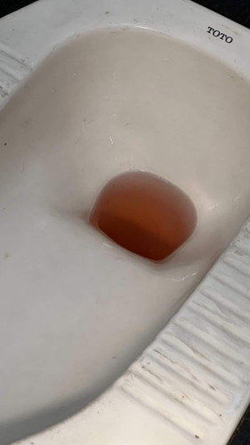 Pipis merah