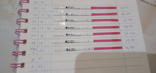 Test kesuburan positif atau belum ?