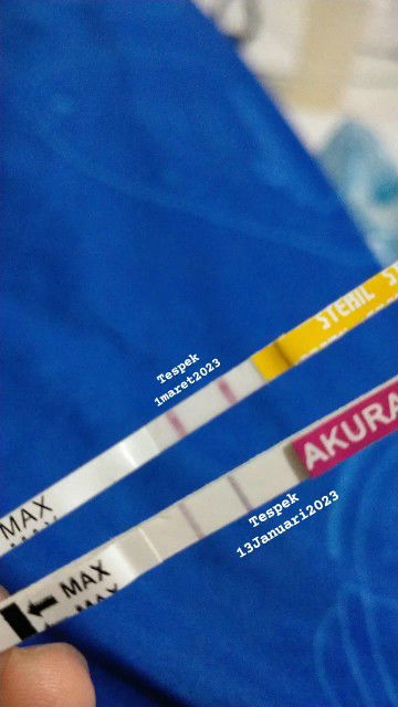 Hpht 10 Januari 2023