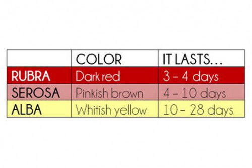 Lochia or Menstruation