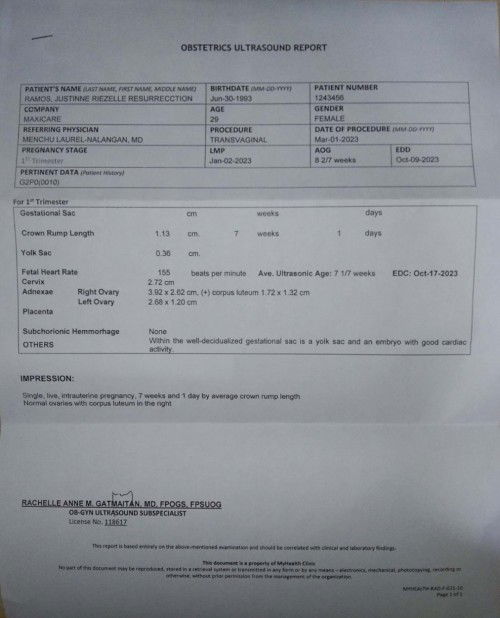 Pregnancy (1st Trimester)