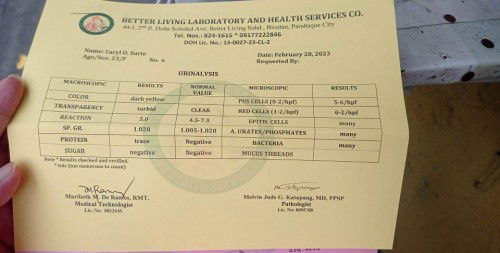 MANUAL URINALYSIS Result
