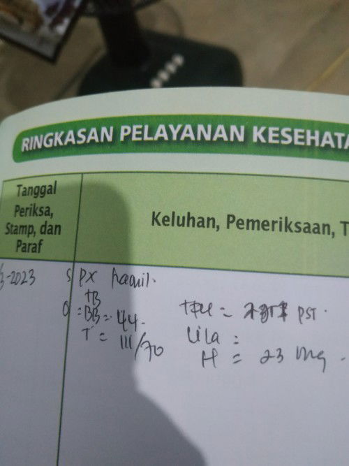 TFU ( tinggi fundus uteri ) uk 23w