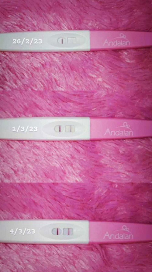 Apakah ini positif hamil?