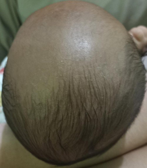 Ini peyang atau bukan bun?
