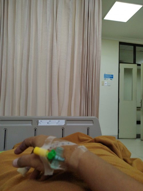 Alhamdulillaah udh launching anak kedua saya Laki-Laki
BB =3,6kg
PJ = 51 cm
 HPL 5-7 maret 2023