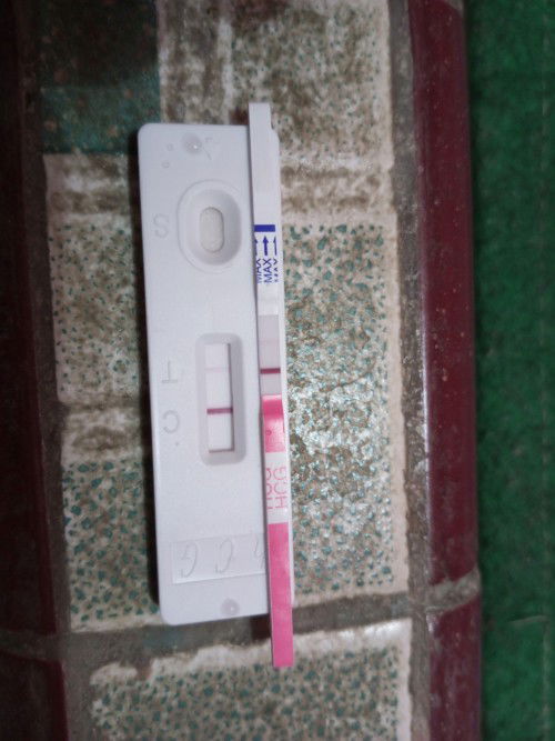 Apakah hamil atau tidak?