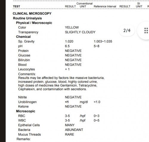 May UTI po ba ? Malalaman din po ba dito kung okay lang Kidney ko?