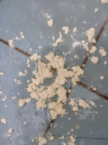 Muntah susu