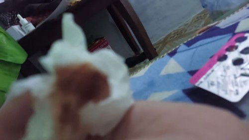 Flek dan lendir merah pucat