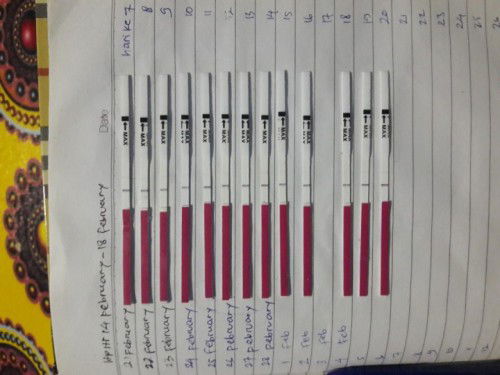 Bingung nentuin masa ovulasi😭