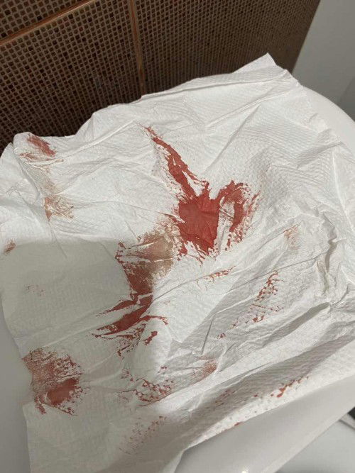 PENDARAHAN SEMESTER 1