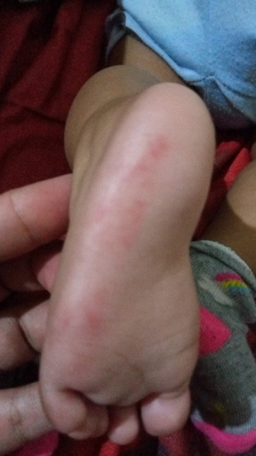 Kaki merah