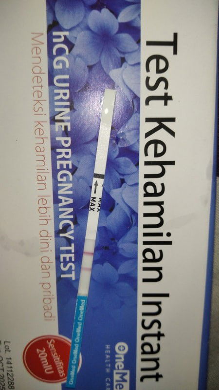 PENGUAT JANIN 4 MINGGU MAU NAIK PESAWAT PERLUKAH ?