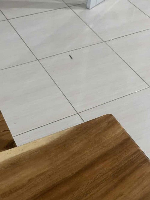 Orang hamil knp lebih sensitive ?