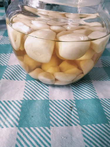 Jeruk bawang putih ibu mengandung 12w+