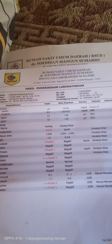 Urin mengandung protei positif1