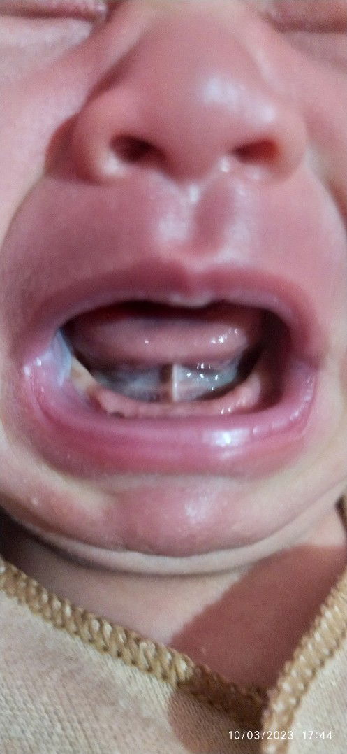 Bayi 2 Minggu boleh perjalanan 3 jam luar kota?