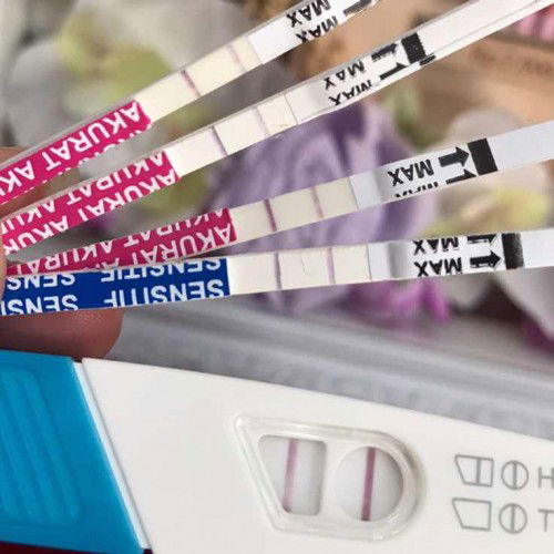 Minta saran dong kalo garis2 gini tapi belom telat haid apa hamil?