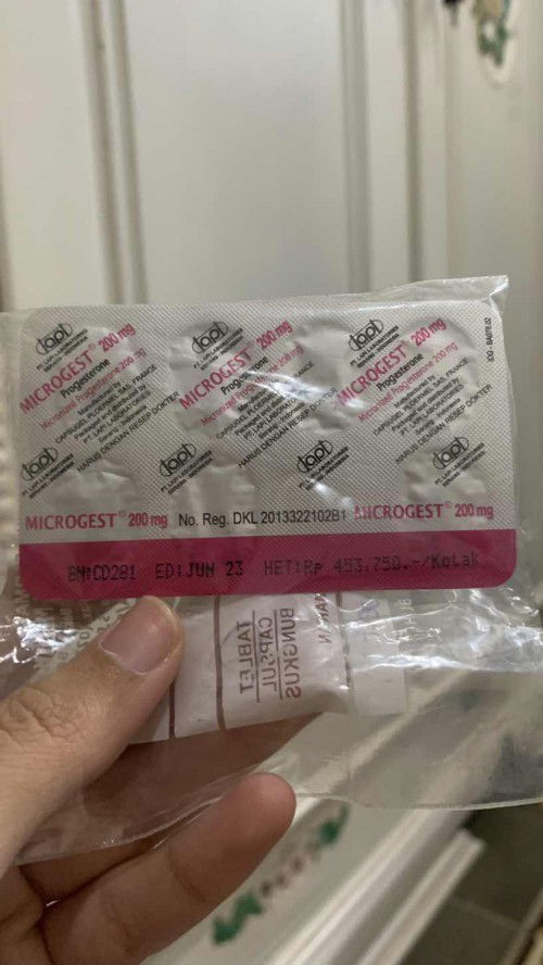 Obat microgest 200mg