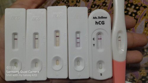 UPT MAMMA PERFECT TAK BAIK TAU BAGI HARAPAN PALSU 🤣🤣🤣