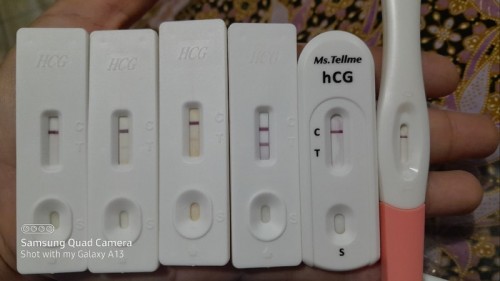 UPT MAMMA PERFECT TAK BAIK TAU BAGI HARAPAN PALSU 🤣🤣🤣