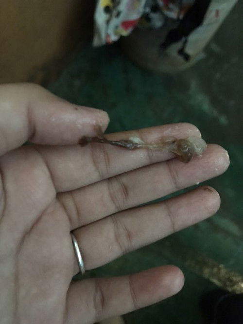 maaf jorok bun uk 39 minggu 2 hari