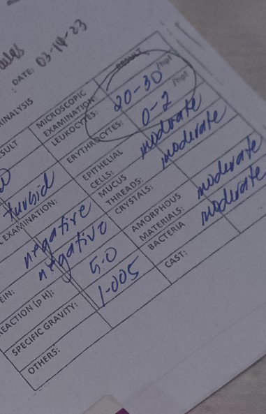Leukocytes?