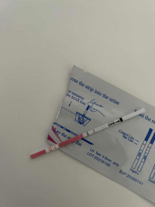 Test ovu Positif atau masih negatif