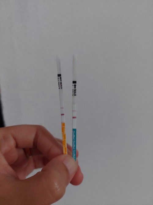 Alhamdulillah, masyaAllah