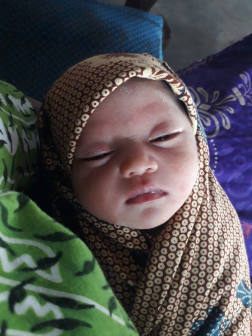 HPL 14 Maret Lahir 11 Maret 2023