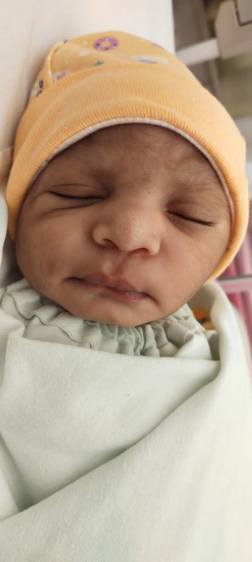 HPL 14 Maret, Launching 18 Maret.