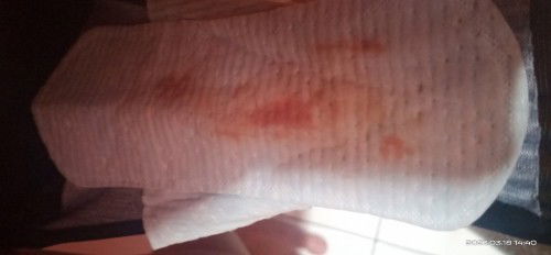 Maaf bun sdkit jorok