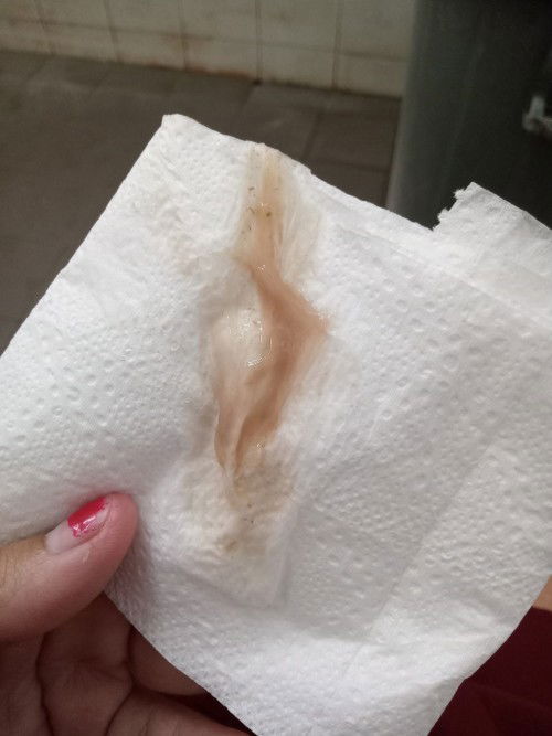 ช่วยแนะนำทีค่ะ