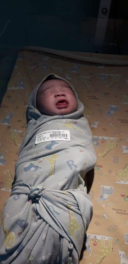 Hpl 21 maret 2023 , lahir 8 maret 2023