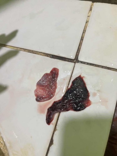 สอบถามหน่อยค่ะ