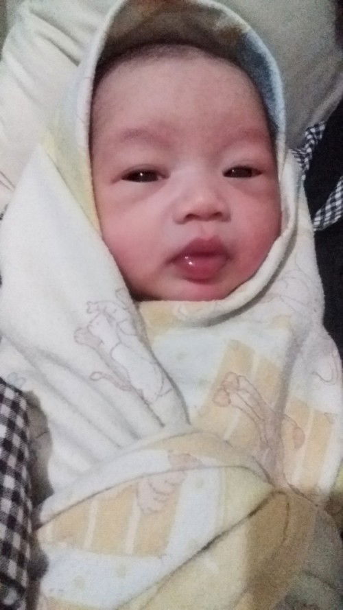 hpl 13 maret lahir 17 maret