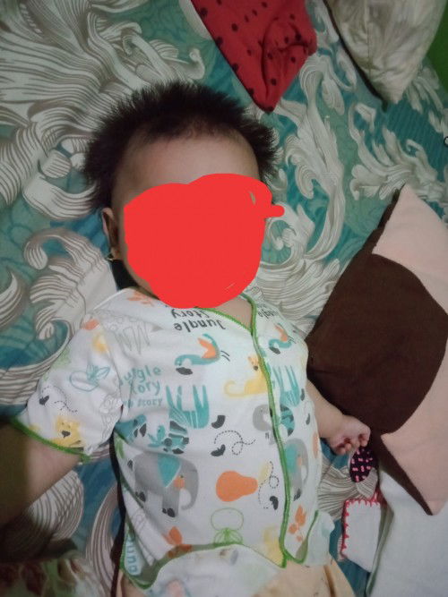 Rambut bayi tegak