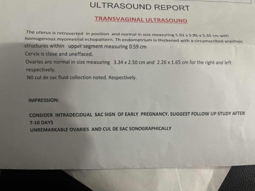 Early pregnancy