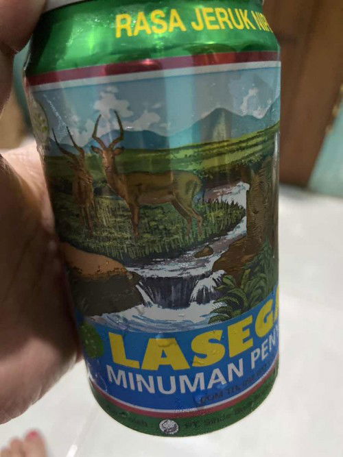 Lasegar kaleng