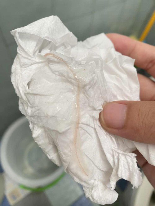 ขอสอบถามนะคะ