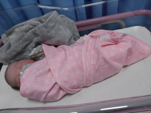 Alhamdulillah launching