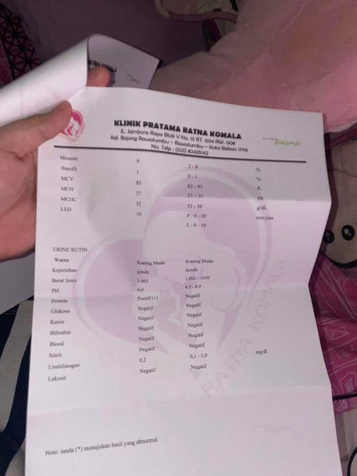 Hb rendah protein urin positif satu