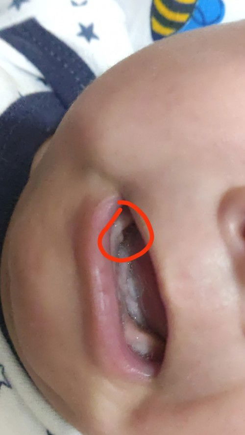 SINGAW 8 WEEKS OLD EBF