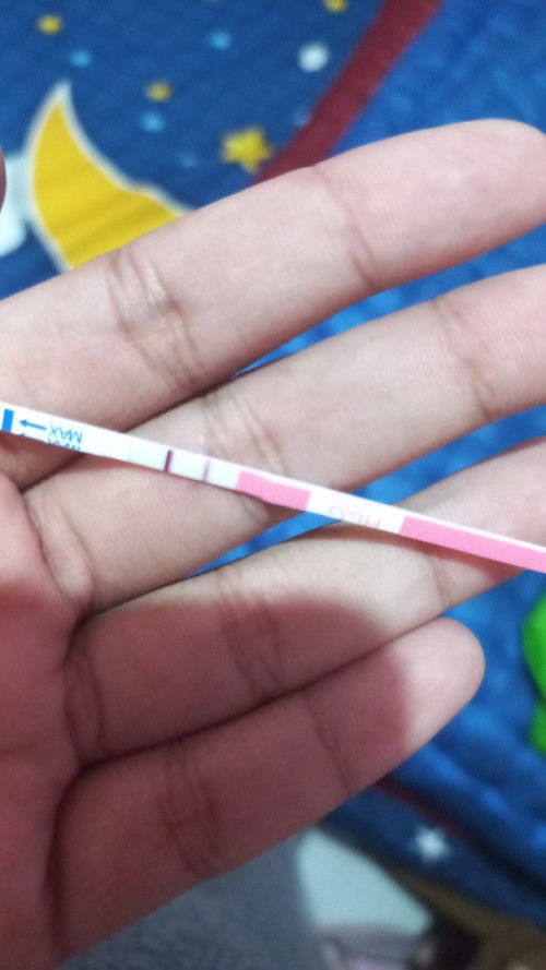 Bun udah positife ga bun?