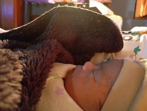 Hpl 24-03-2023 lahir 22-03-23